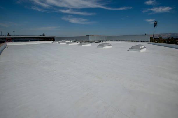Best Asphalt Shingles Roofing  in Lemmon Valley, NV