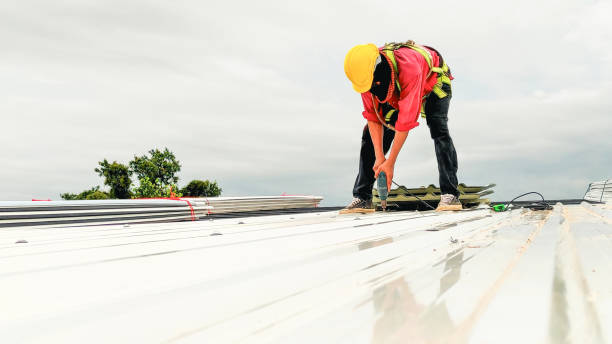 Fast & Reliable Emergency Roof Repairs in Lemmon Valley, NV